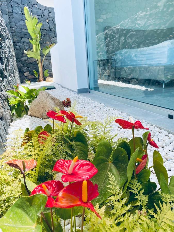 אדחה Rocavista - Villa With Heated Rooftop Pool And Amazing Ocean View מראה חיצוני תמונה